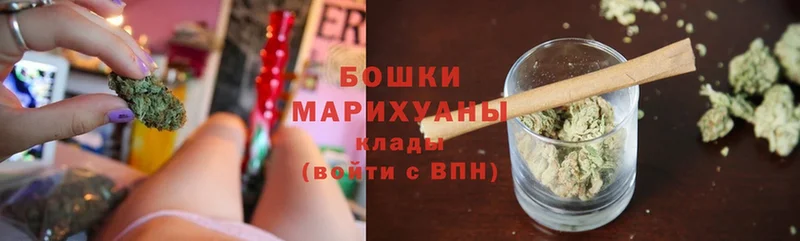 Бошки Шишки марихуана  купить наркоту  Химки 